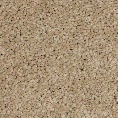 In-stock nylon carpet from 3Kings CarpetsPlus COLORTILE in Ft. Wayne, IN